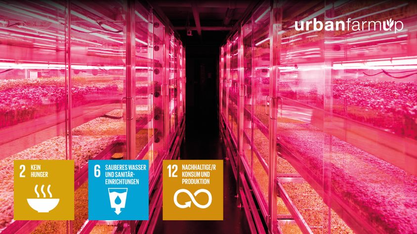 Microgreens im Vertical-Farming-System von urbanfarmup – Beitrag zu SDG 2, 6 und 12